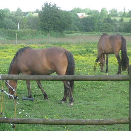Les Croisettes Bed & Breakfast Le Pin  Eksteriør bilde