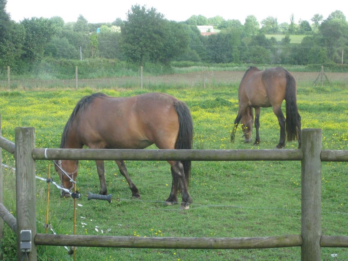 Les Croisettes Bed & Breakfast Le Pin  Eksteriør bilde